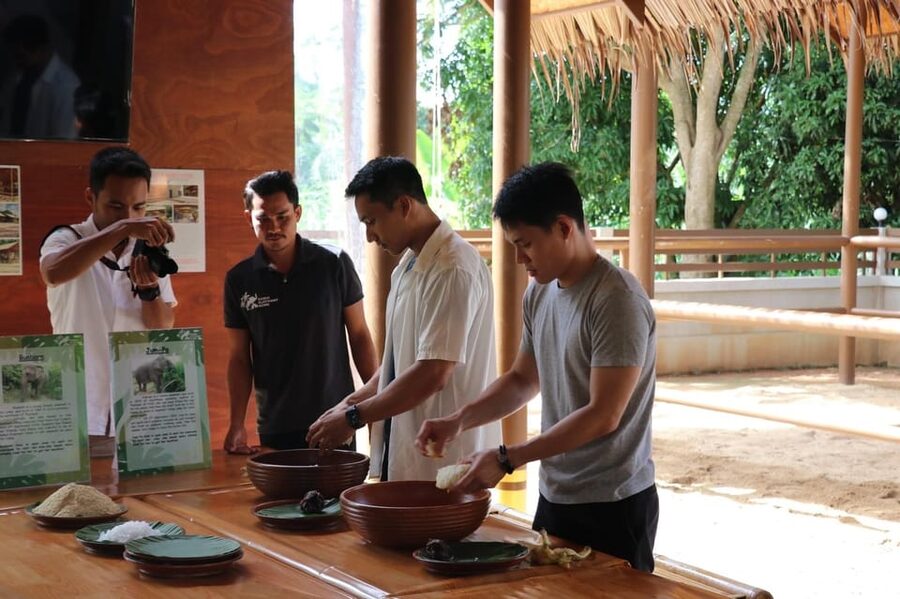 Samui: Elephant Nutrition and Care Education Experience - Feeding time and respectful photography