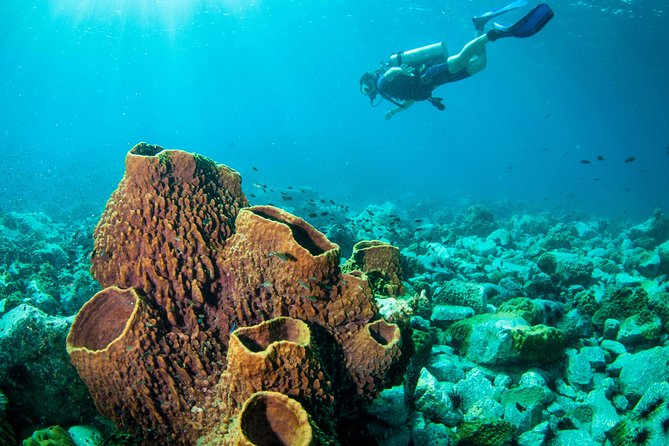 Scuba Diving Day Trip at Koh Chang – 2 Dives - Two very different ways to see Koh Chang underwater