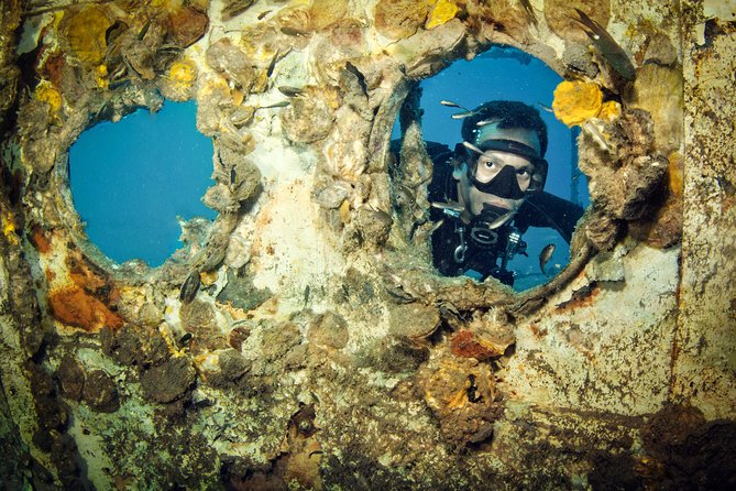 Scuba Diving Day Trip at Koh Chang – 2 Dives - Koh Rang National Park: calmer water and coral gardens