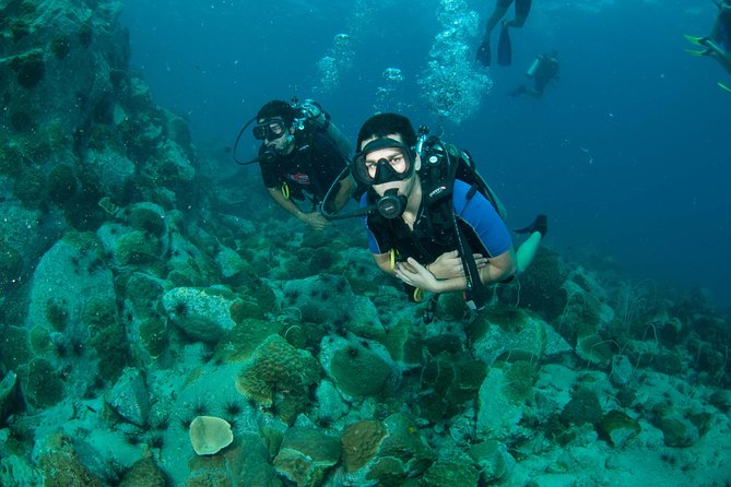 Scuba Diving Day Trip at Koh Chang – 2 Dives - The HTMS Chang wreck: structure, scale, and a little more challenge