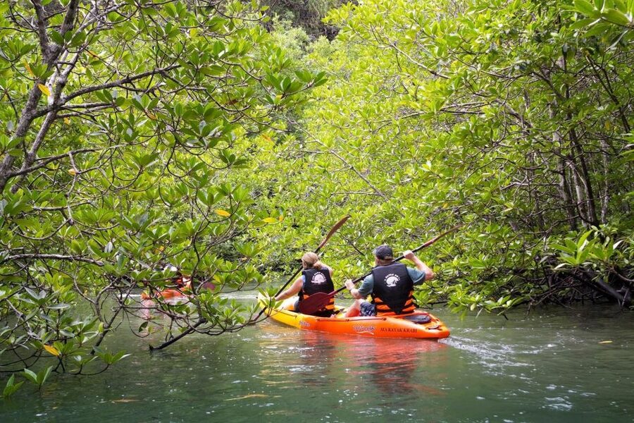 Sea Kayaking in Ao Thalane & Optional Full-Day Hong Island - Paddling the mangrove channels