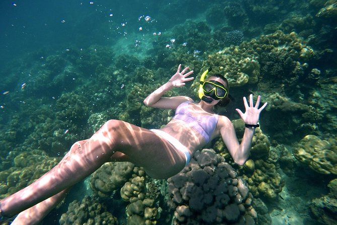 Small Groups of 20 people - Phi Phi & Bamboo Islands with Lunch - Why this Phi Phi tour works as a full-day sampler