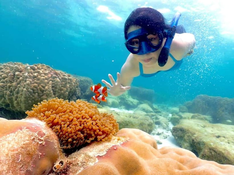 Snorkel & Chill: Nemo Island Trip from Pattaya - Key points to know before you book