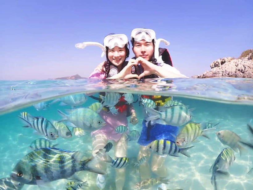 Snorkel & Chill: Nemo Island Trip from Pattaya - What this Pattaya snorkeling trip really offers