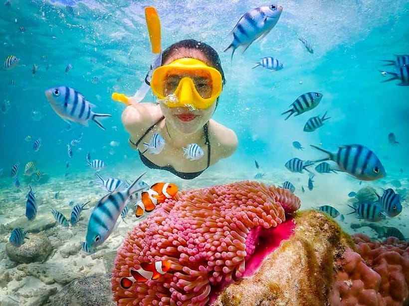 Snorkel & Chill: Nemo Island Trip from Pattaya - Koh Chuang and Koh Jan: three hours of snorkeling