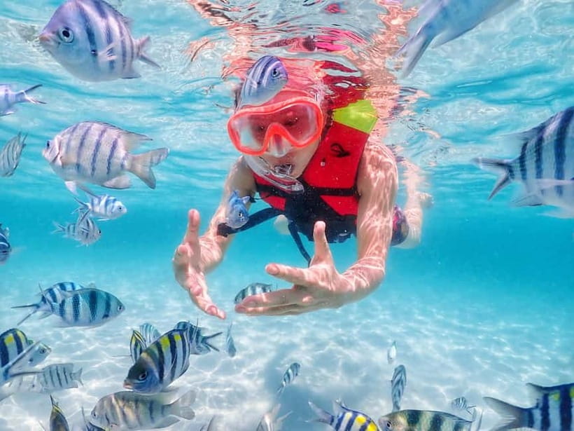 Snorkel & Chill: Nemo Island Trip from Pattaya - Safety, fitness, and comfort in the water