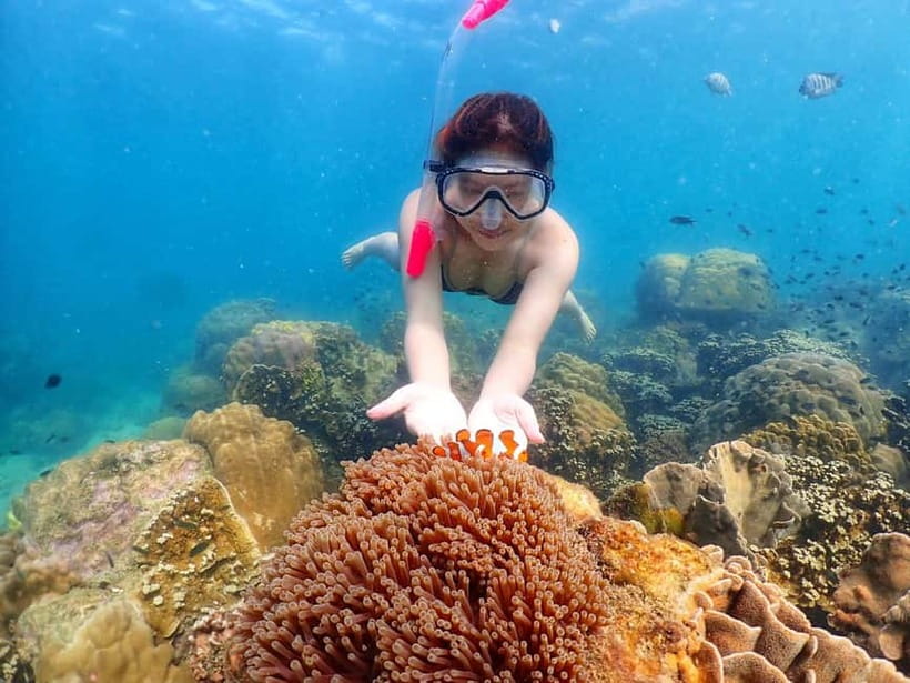 Snorkel & Chill: Nemo Island Trip from Pattaya - How the $41 price compares