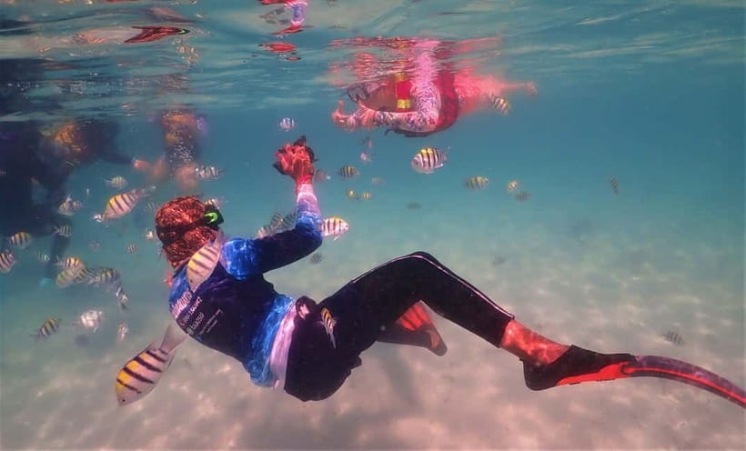 Snorkel & Chill: Nemo Island Trip from Pattaya - Who will enjoy Nemo Island most