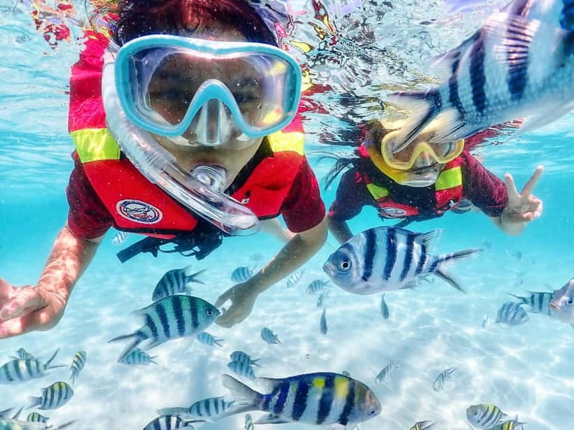 Snorkel & Chill: Nemo Island Trip from Pattaya - Booking details that matter