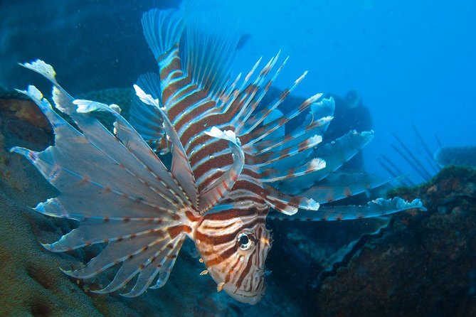 Snorkeling Adventure at Koh Chang – Departing from Koh Chang - The boat ride to Koh Chang’s reefs
