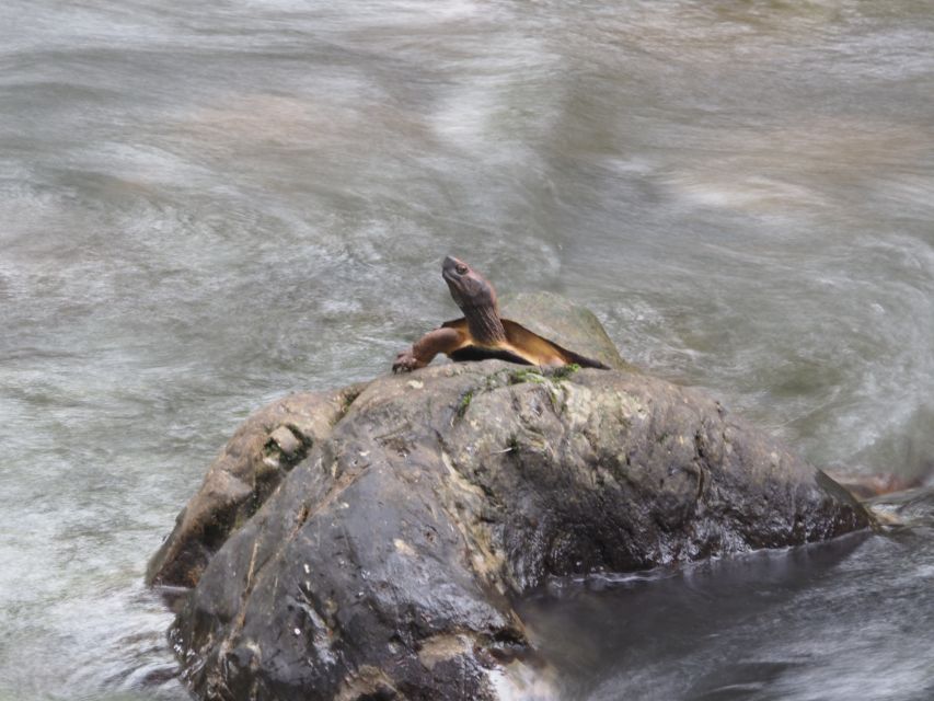 Sok River: Bamboo Raft Ride, Monkey Temple & View Point Tour - Coffee in a bamboo cup beside the river