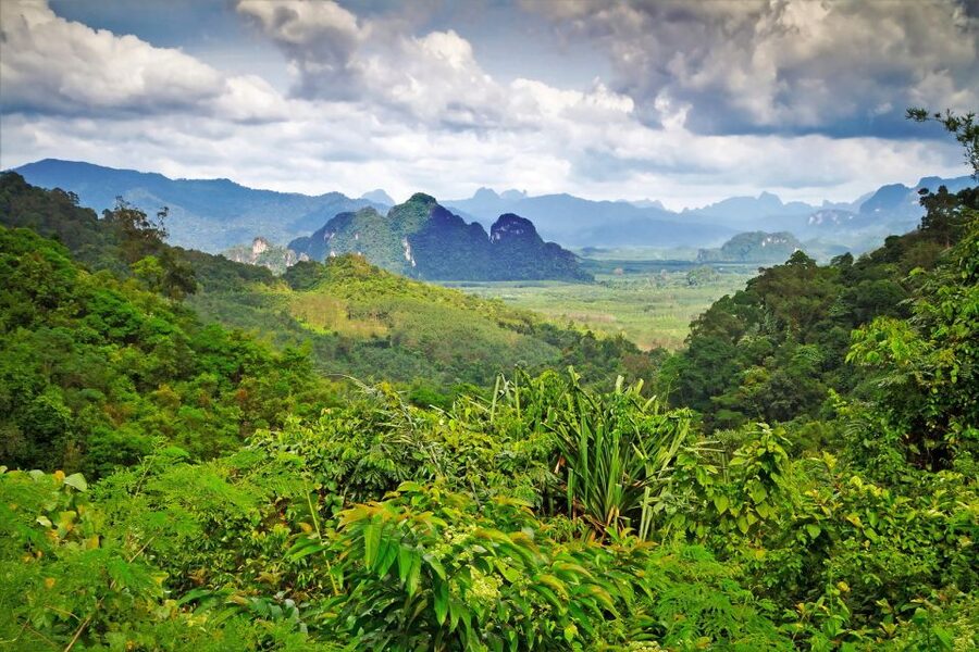 Sok River: Bamboo Raft Ride, Monkey Temple & View Point Tour - Is $61 good value?