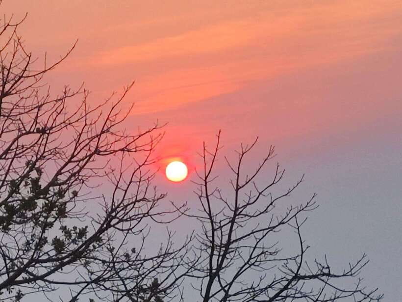Spiritual Sunrise Wat Doi Suthep, Pha Lat, Alms & Meditation - Giving alms with care and respect