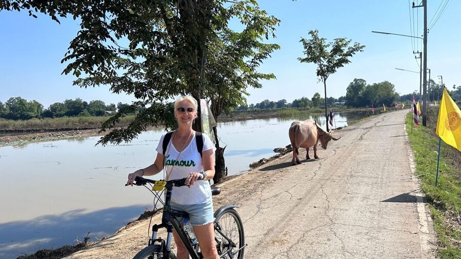 Sukhothai: Half-Day Countryside Bike Tour - Ten kilometers of dirt road through rice paddies