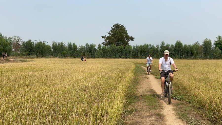 Sukhothai: Half-Day Countryside Bike Tour - Friendly encounters that can make the day personal