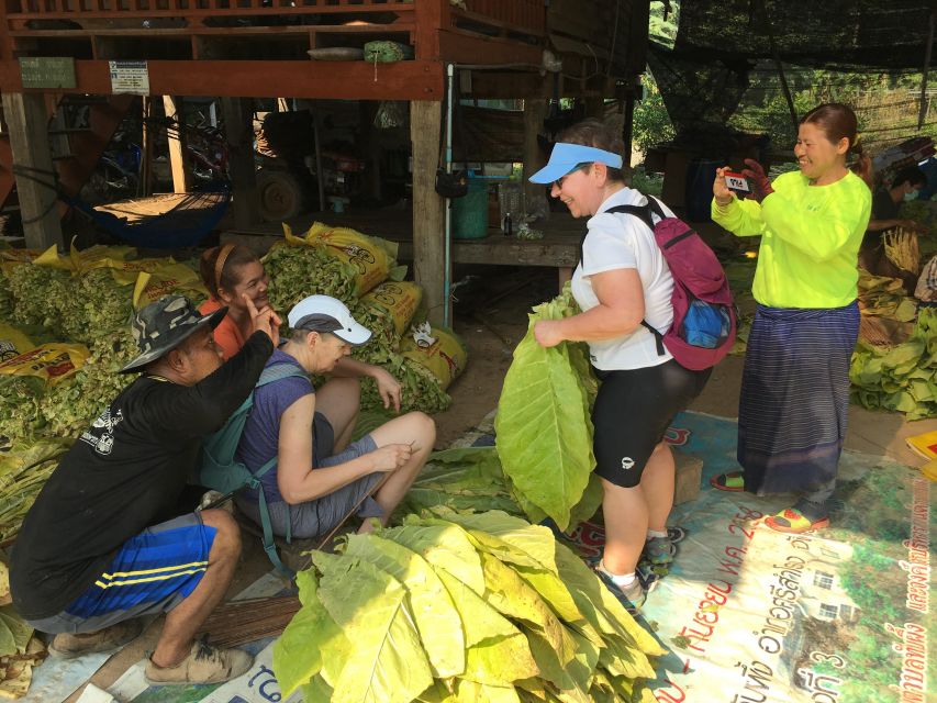 Sukhothai: Half-Day Countryside Bike Tour - The guide makes or breaks a countryside ride