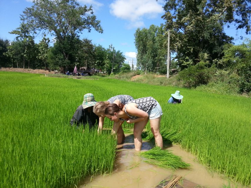 Sukhothai: Half-Day Countryside Bike Tour - Is $32 a fair price?