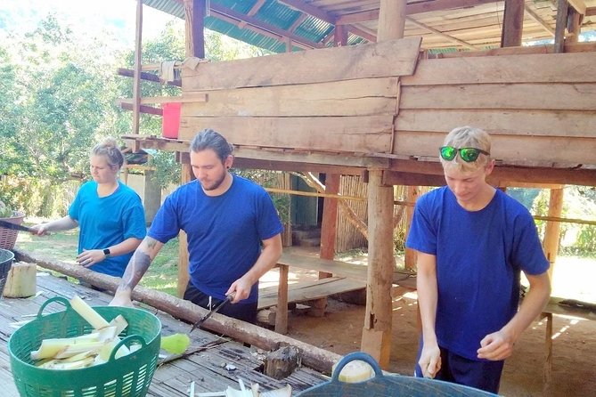 Top Pick - Full or Half Day @Elephant in Wild Sanctuary ChiangMai - Thai lunch and a long day outdoors