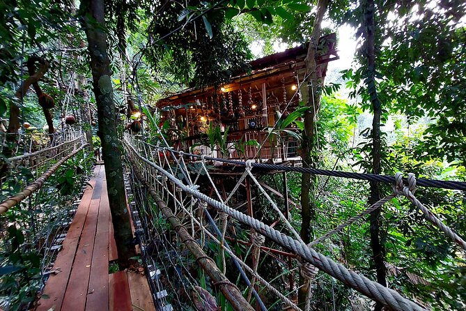 Tree Bridge Cafe And Zipline - Jungle Flight Adventure in Koh Samui - Tan Rua Waterfall and the Tree Bridge Cafe