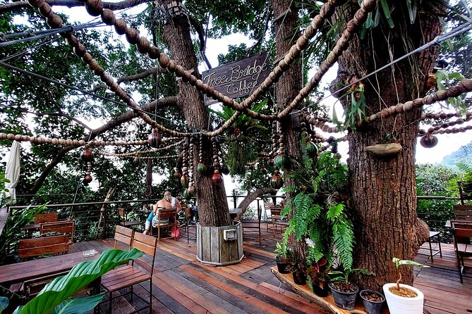 Tree Bridge Cafe And Zipline - Jungle Flight Adventure in Koh Samui - The first short lines help you find your nerve