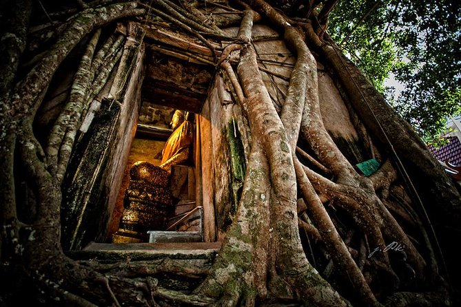 VIP Private Tour Damnoen Saduak+ Amphawa + Mae Klong Railway - What the private VIP format is worth