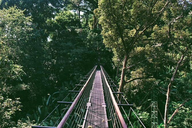 World B+ (Zipline 18 Platforms + Roller + Sky Walk with World Set Menu ) - Sky bridges and the story of Hanuman