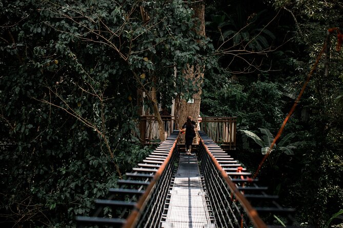 World B+ (Zipline 18 Platforms + Roller + Sky Walk with World Set Menu ) - Practical advice for a smoother visit